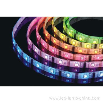 3 years warranty new Fashion Led Strip 3014